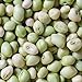 photo David's Garden Seeds Southern Pea (Cowpea) Zipper Cream 4112 (Cream) 100 Non-GMO, Open Pollinated Seeds