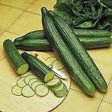 Cucumber, Long Green Improved, Heirloom,99+ Seeds, Great for Any Veggie Platter photo / $2.99