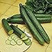 photo Cucumber, Long Green Improved, Heirloom,99+ Seeds, Great for Any Veggie Platter