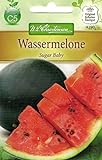 Chrestensen Wassermelone 'Sugar Baby' foto / 2,33 €