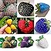 foto 100 PC/bolso Semillas de color R paja arco fresas fruta multicolor Semillas Semilla Jardín Macetas y ERS