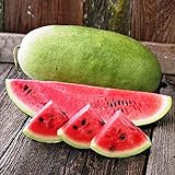 NIKA SEEDS - Fruit Watermelon Charleston Grey Green - 20 Seeds photo / $8.95 ($0.45 / Count)