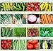 photo Set of 16 Assorted Organic Vegetable Seeds & Herb Seeds 16 Varieties Create a Deluxe Garden All Seeds are Heirloom, 100% Non-GMO Sweet Pepper Seeds, Hot Pepper Seeds-Red Onion Seeds- Green Onion Seeds