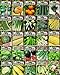 photo Set of 25 Premium Vegetable & Herb Seeds - 25 Deluxe Variety Premium Vegetable & Herb Garden 100% Non-GMO Heirloom