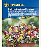 Balkonkasten-Blumenmix Pflegeleichte Sonnenkinder,1 Portion foto / 3,99 €