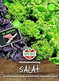 82860 Sperli Premium Salat Samen Mix | Pflücksalat Salatmischung | Saatband | Salat Saatgut | Salat Mix Samen foto / 3,72 €