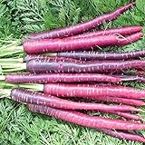 David's Garden Seeds Carrot Cosmic Purple 1199 (Purple) 200 Non-GMO, Heirloom Seeds photo / $3.45