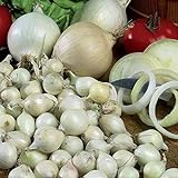 Onion Sets Red,Yellow,White or Mix 40-70 bulbs) Garden Vegetable- Choose a color(Yellow) photo / $6.35 ($0.12 / Count)