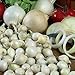 photo Onion Sets Red,Yellow,White or Mix 40-70 bulbs) Garden Vegetable- Choose a color(Yellow)