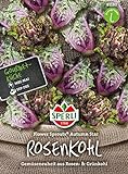 81180 Sperli Premium Rosenkohl Samen Flower Sprouts | Neuheit | Mischung aus Rosenkohl und Grünkohl | Rosenkohl Saatgut | Kohl Samen foto / 6,77 €