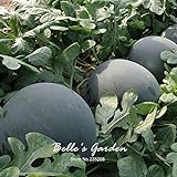 10pcs gigante Ronda Negro sandía Semillas de frutas de semilla de melón dulce Agua 25 libras jardín de DIY DIY Bonsai semillas de plantas foto / 14,49 €
