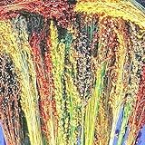Broom Corn Seed Multi Color Crafts Home Accents Gold Red Bronze Purple Brown jocad (100+ Seeds) photo / $8.98