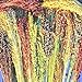 photo Broom Corn Seed Multi Color Crafts Home Accents Gold Red Bronze Purple Brown jocad (100+ Seeds)