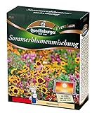 Sommerblumenmischung (ohne Gräser) NEU foto / 7,21 € (72,10 € / kg)