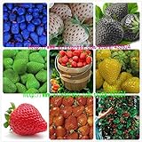 9kinds de semillas de la fresa, blanco, amarillo, azul, negro, rojo, verde, grandes fresas, subida, 900 semillas totales plants.bonsai jardín de la fruta foto / 5,99 €