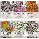Seed Needs, Milkweed Seed Packet Collection to Attract Monarch Butterflies (6 Individual Seed Packets) Heirloom Untreated Milkweed Seeds photo / $16.85 ($2.81 / Count)