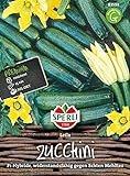 83598 Sperli Premium Zucchini Samen Leila | Zucchini Saatgut | Zuchini Samen | Samen Zucchini | Lange Ernte | Zuchini Saatgut | F1 foto / 5,97 €