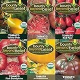 Tomato Seeds /Heirloom Tomatoes, Open Pollinated Garden Seed - Black Krim, Cherokee Purple, Yellow Brandywine, Red Pear, and Yellow Pear photo / $9.99