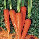 Carrot Seeds - Moonraker Pelleted - 10,000 Seeds photo / $20.99 ($0.00 / Count)